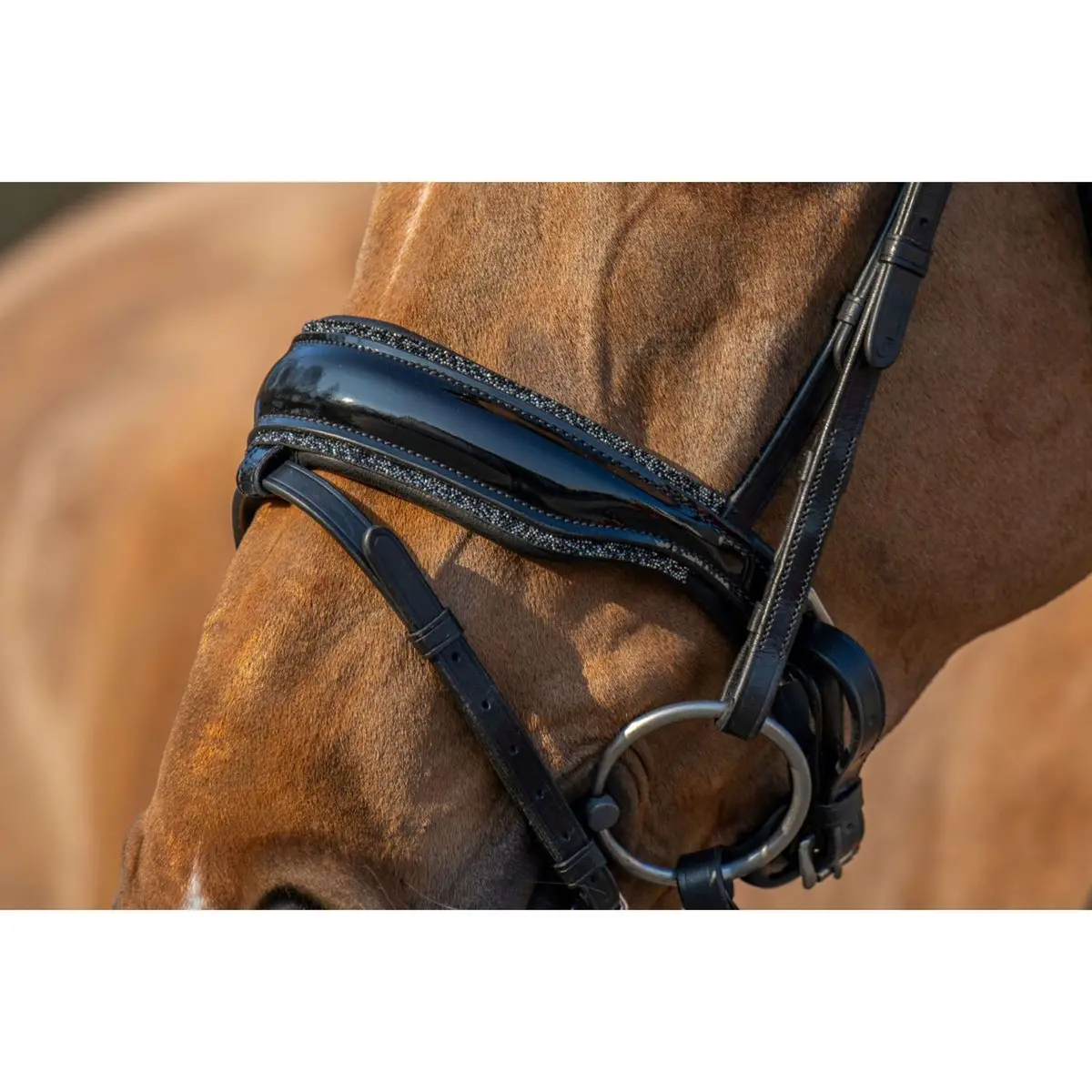 Hb Anatomische Neusriem Rocky Glitter/Zwart 1