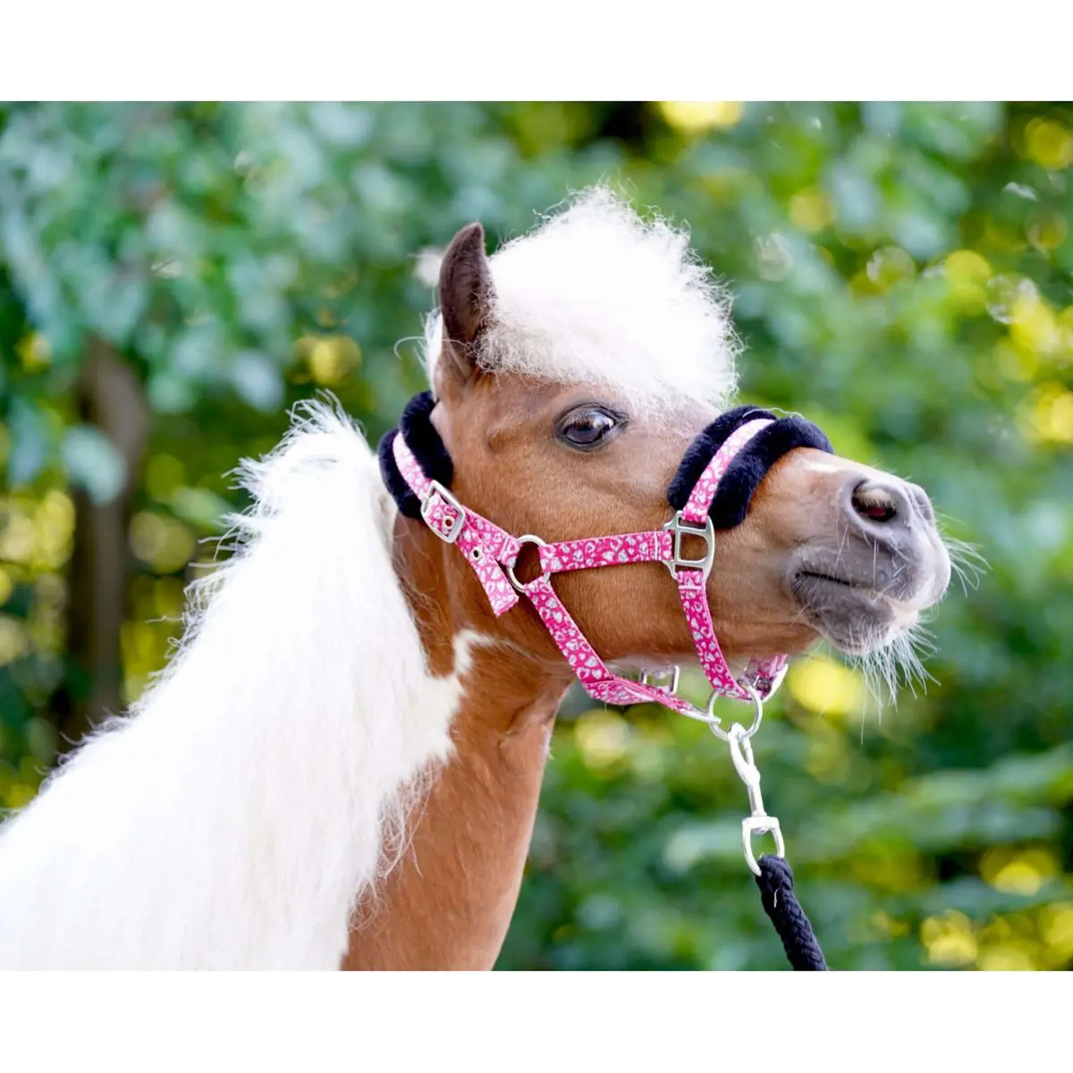 Hb Halster Sunny Flower Fuchsia 1