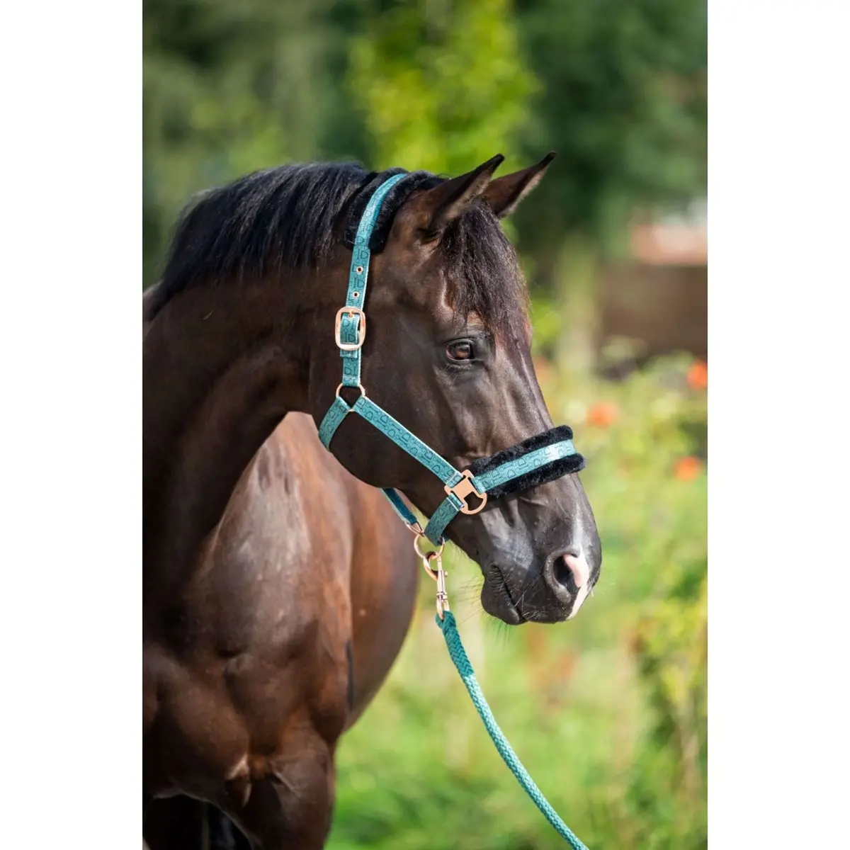Hb Halster Showtime Pioneer Bosgroen 1