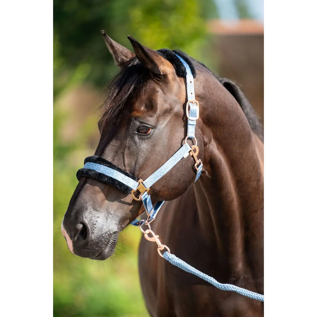 Hb Halster Showtime Pioneer Ijsblauw 1
