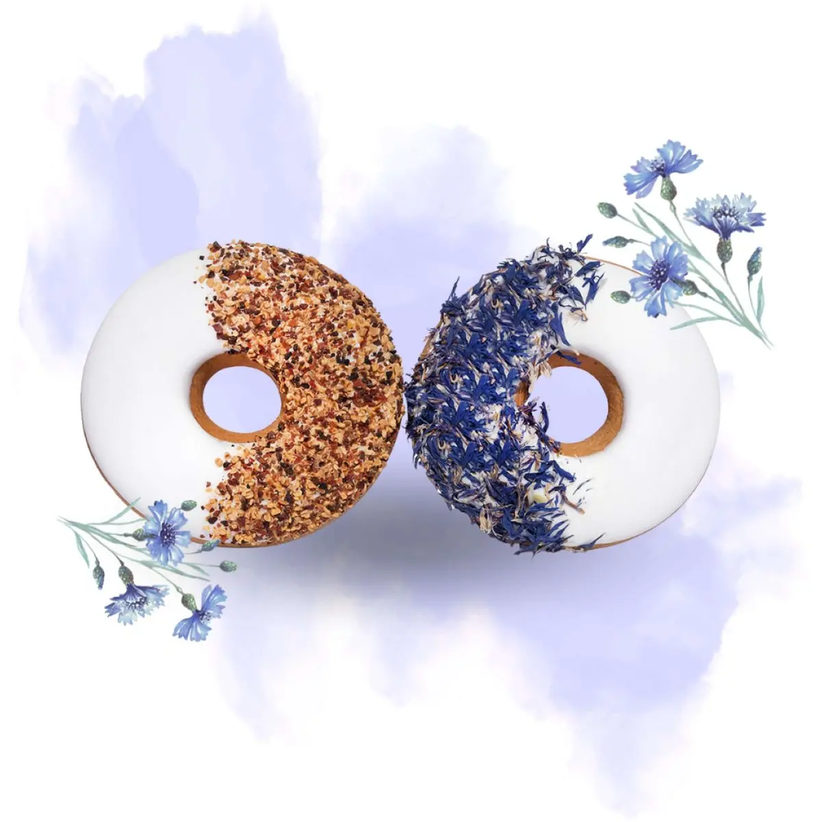 Candy Horse Donut Cornflower/Rosehip 1