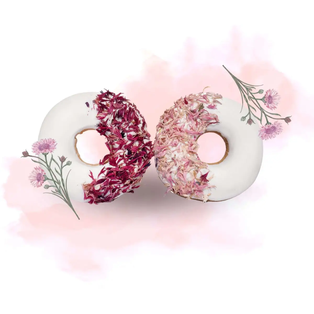 Candy Horse Donut Pink Cornflower 1