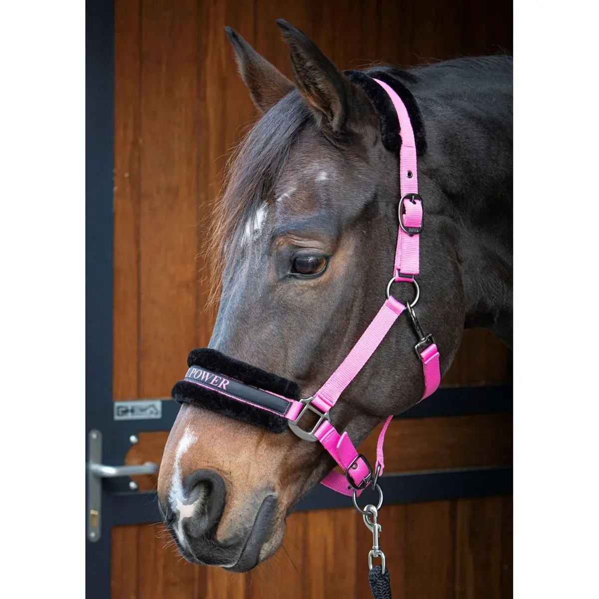 Harry's Horse Halster Lyrics Quotes Roze 1
