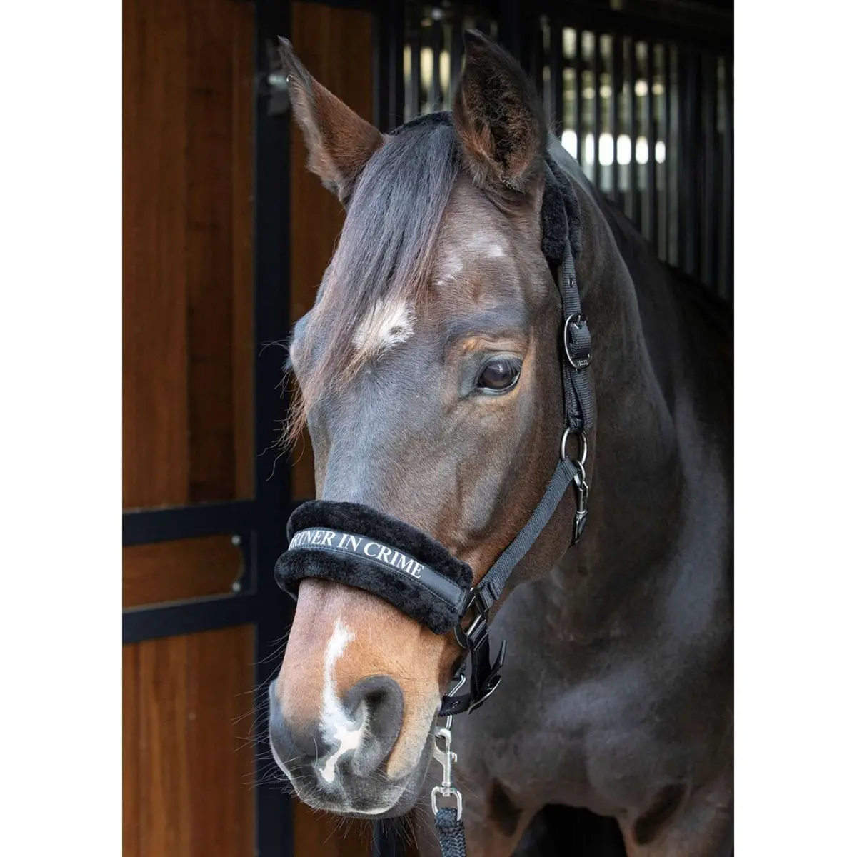 Harry's Horse Halster Lyrics Quotes Zwart 1