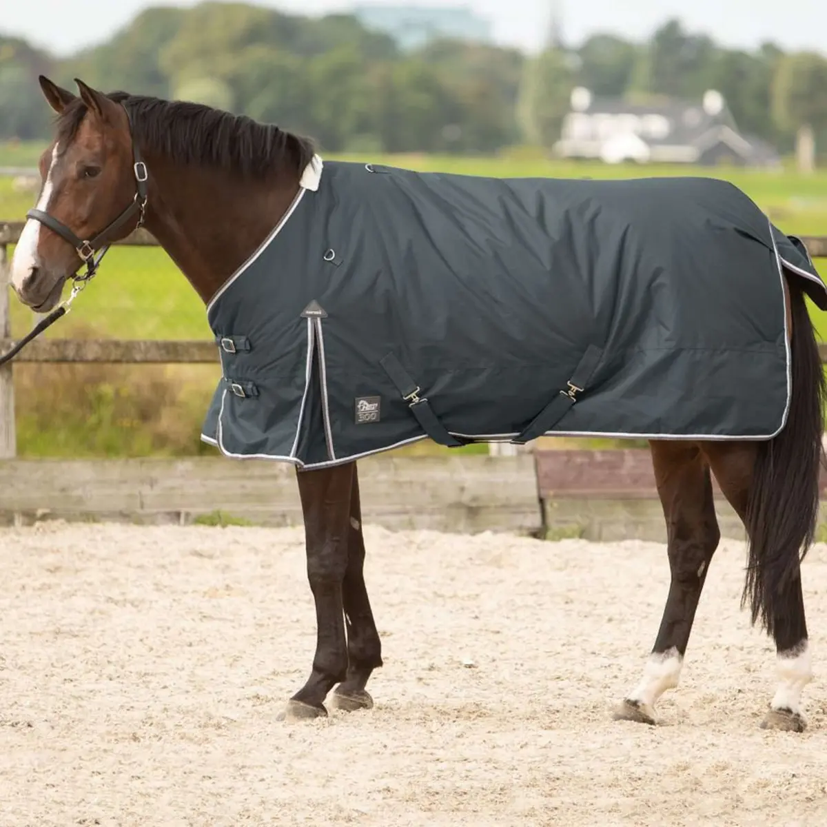 Harry's Horse Outdoordeken Thor 300G Ebony 1