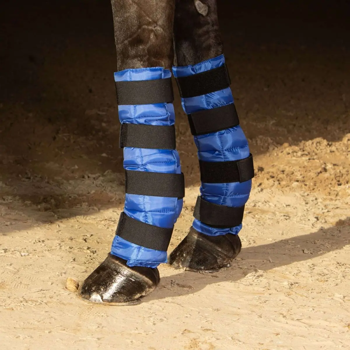 Harry's Horse Cold Wrap Blauw 1