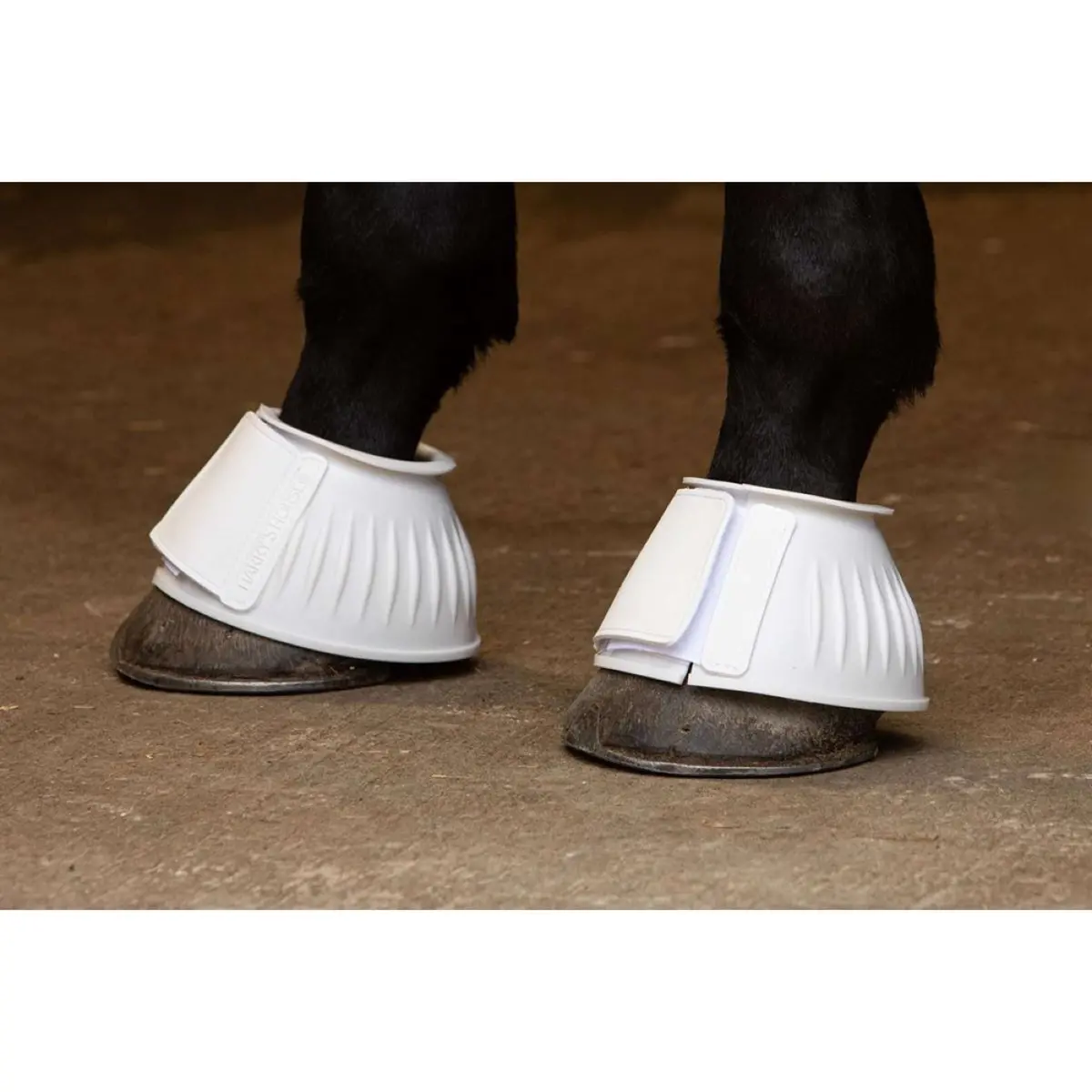 Harry's Horse Springschoenen Tpe Wit 1