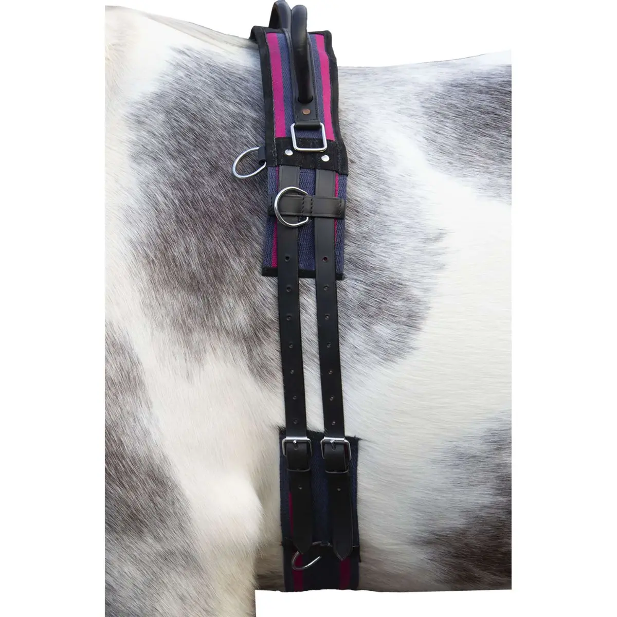 Hkm Longeersingel Canvas Met Dubbele Handgreep Navy/Roze 1