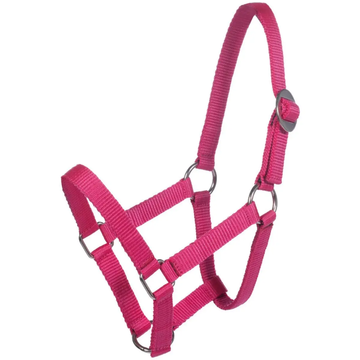 Hkm Halster Mini Shetland Roze 1