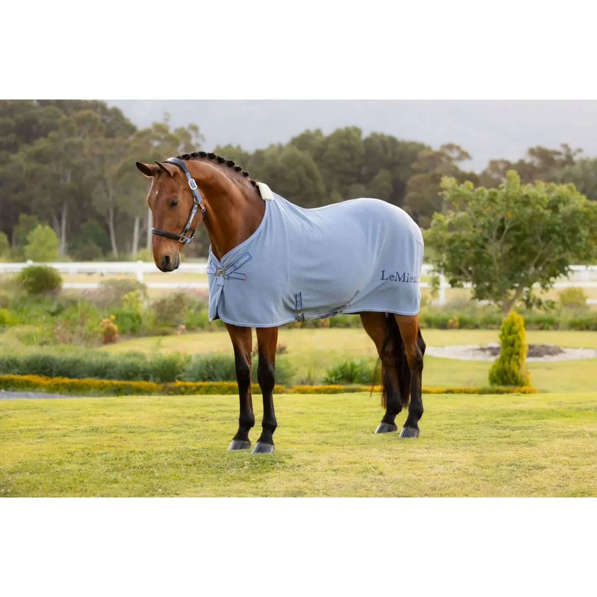 Lemieux Cooler Kudos Bamboo Powder Blue 1