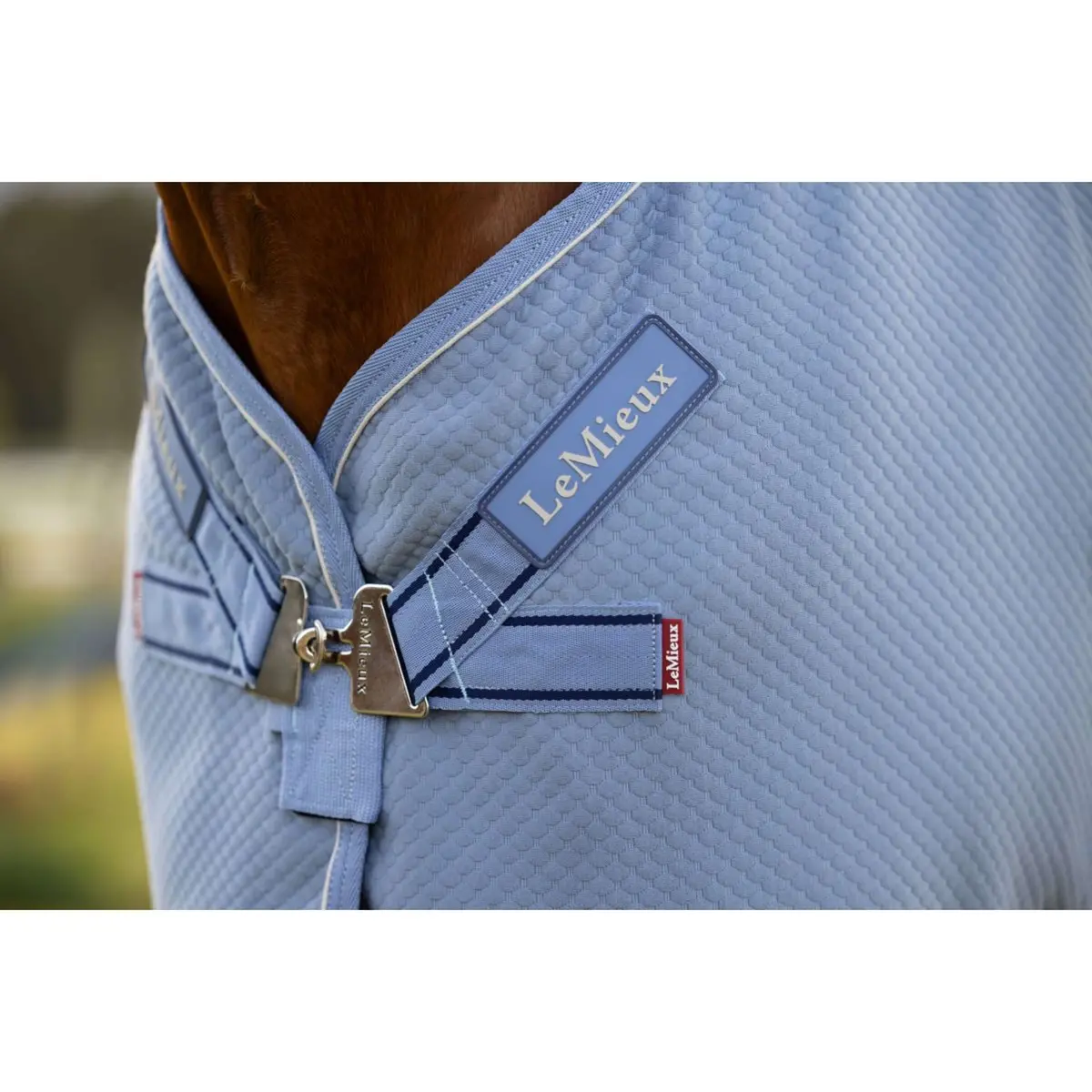 Lemieux Cooler Kudos Bamboo Powder Blue 4