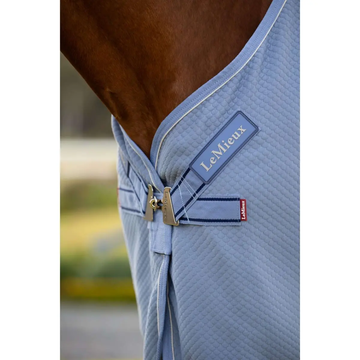 Lemieux Cooler Kudos Bamboo Powder Blue 3