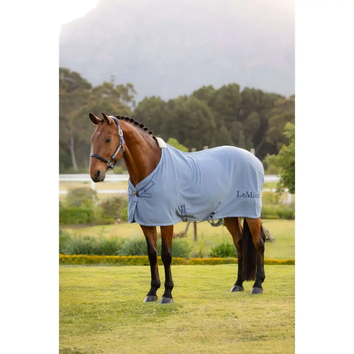 Lemieux Cooler Kudos Bamboo Powder Blue 6
