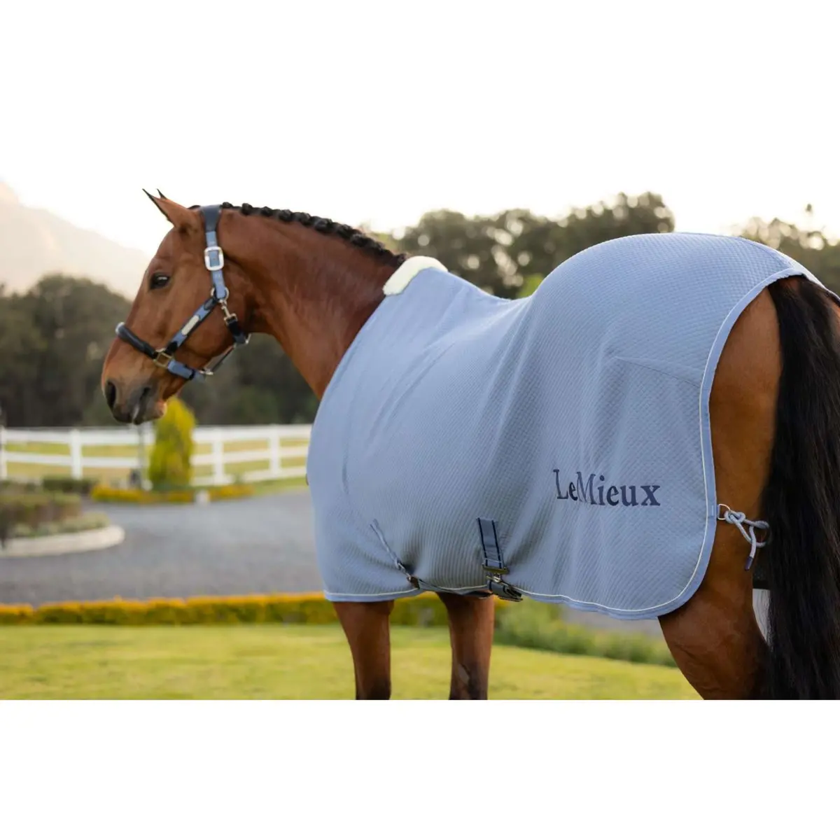 Lemieux Cooler Kudos Bamboo Powder Blue 5