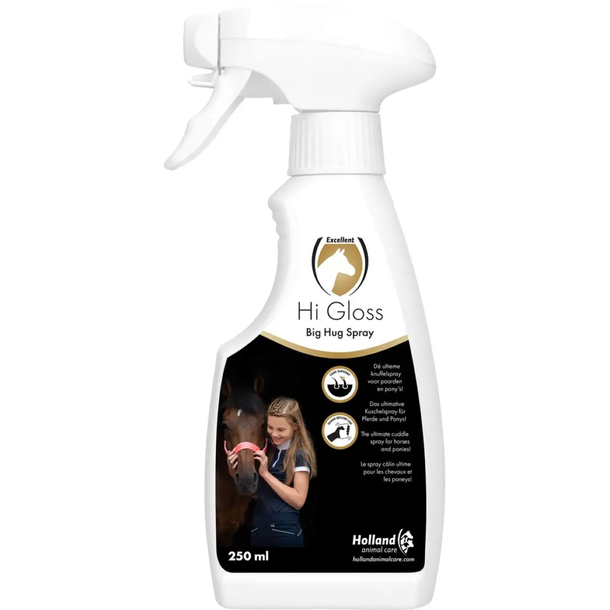 Excellent Hi Gloss Spray Big Hug 1