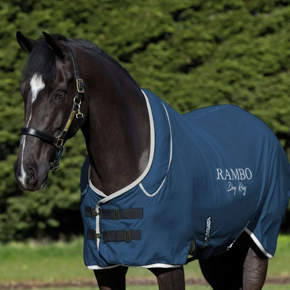 Rambo Dry Rug Supreme Navy/Zilver 1