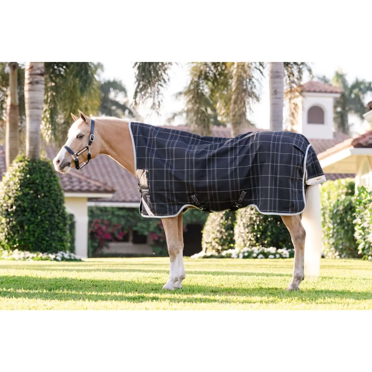Rhino Wug Pony Turnout 250G Varilayer Black/Grey/White Check/Gray 1