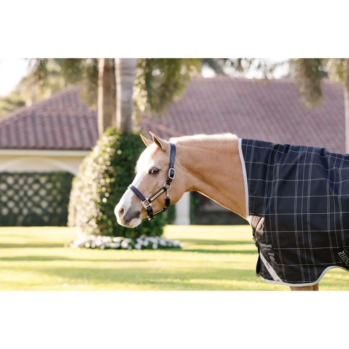 Rhino Wug Pony Turnout 250G Varilayer Black/Grey/White Check/Gray 3