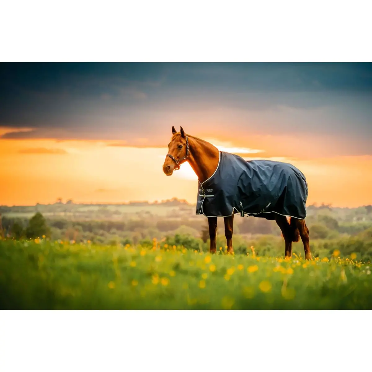 Amigo Ripstop 900D 200G Witney Navy 1