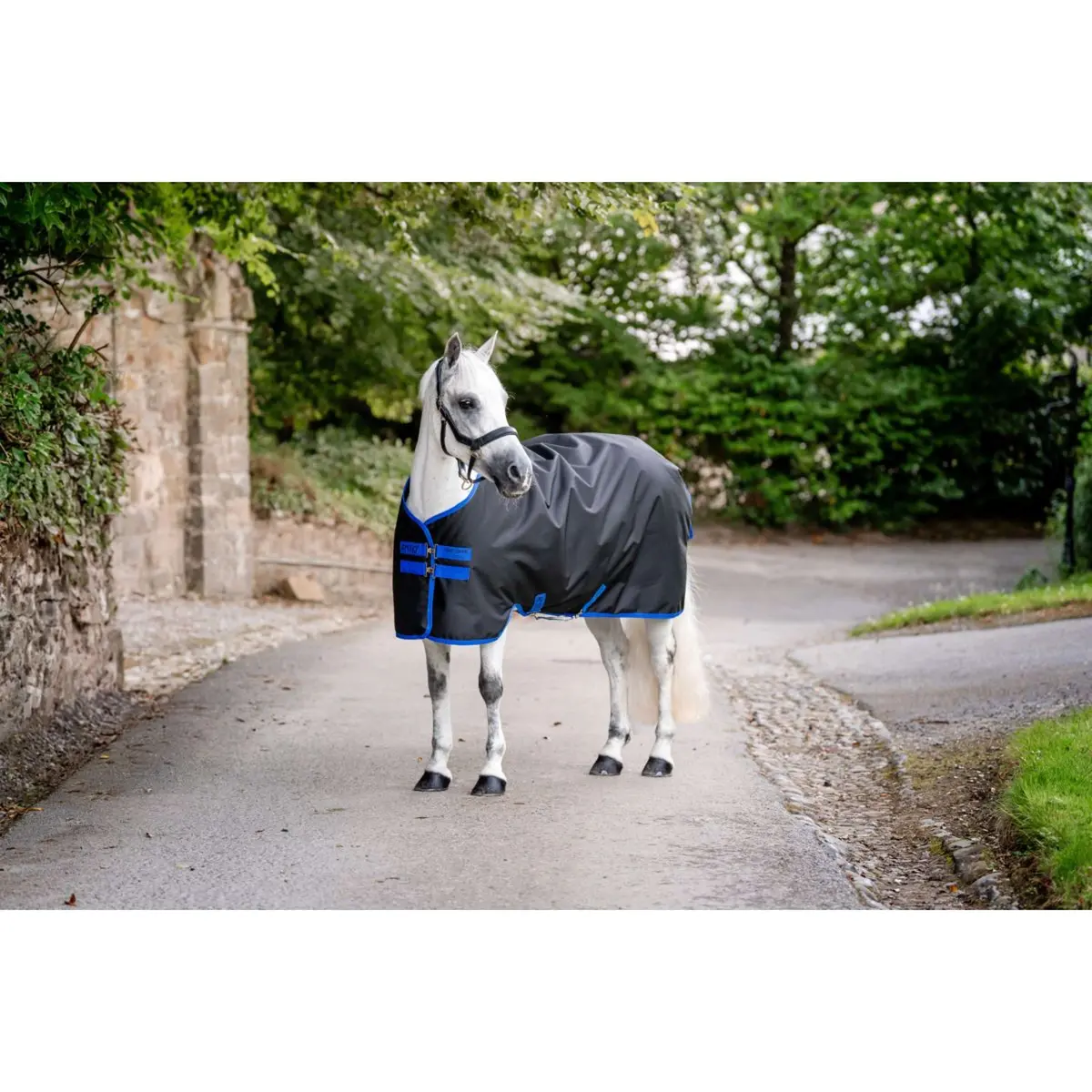 Amigo Ripstop 900D Pony 200G Black/Classic Blue 1