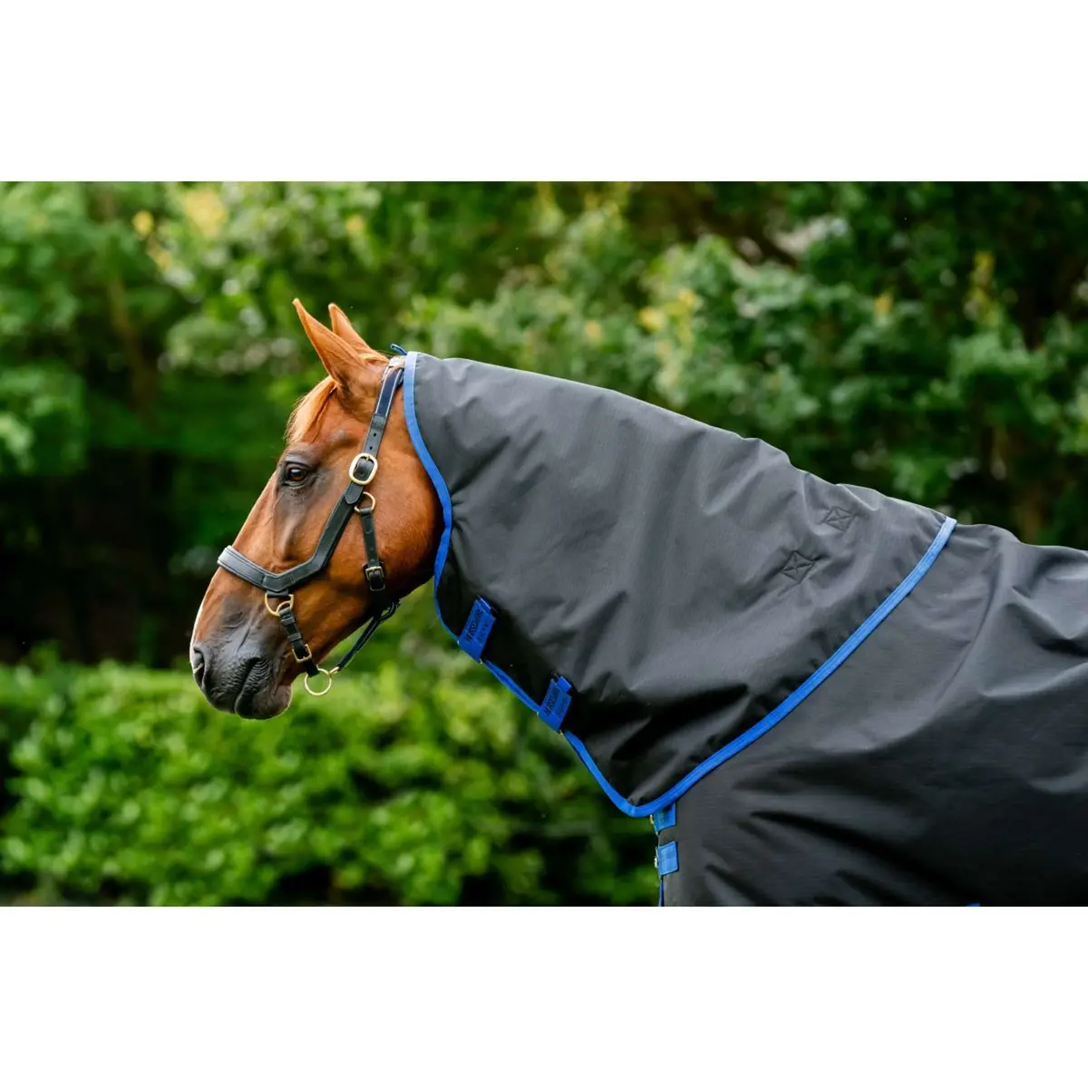 Amigo Halsstuk Ripstop 900D 150G Black/Classic Blue 1