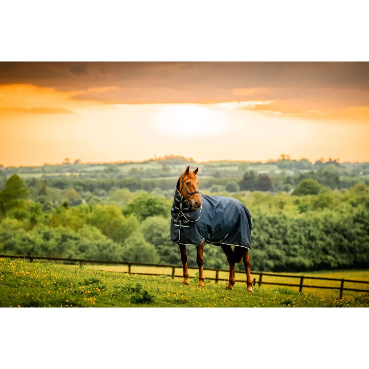 Amigo Ripstop 900D Plus 200G Witney Navy 1