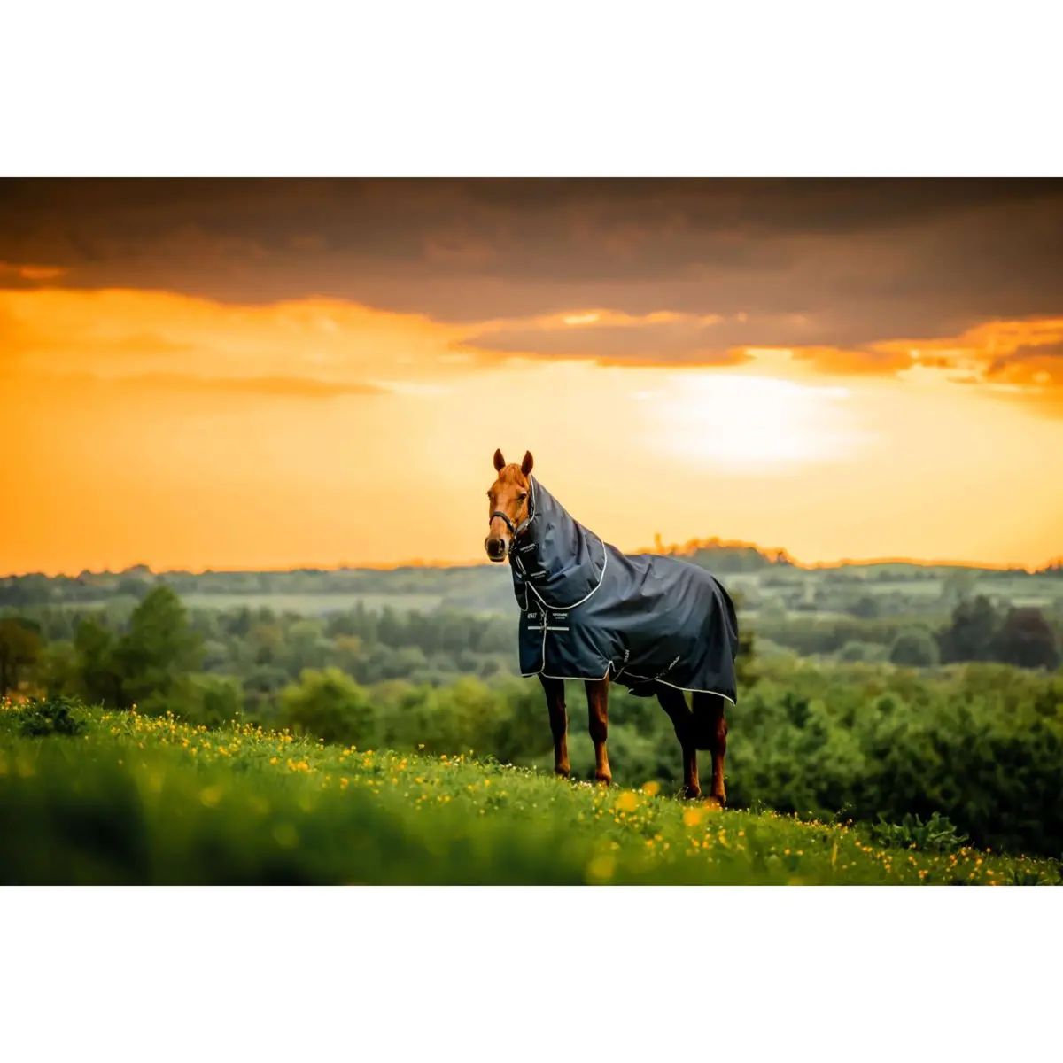 Amigo Ripstop 900D Plus Pony 200G Witney Navy 1