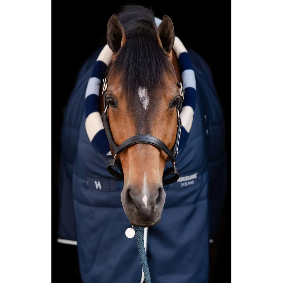 Horseware Cosy Stable Newmarket 200G Witney Navy 2