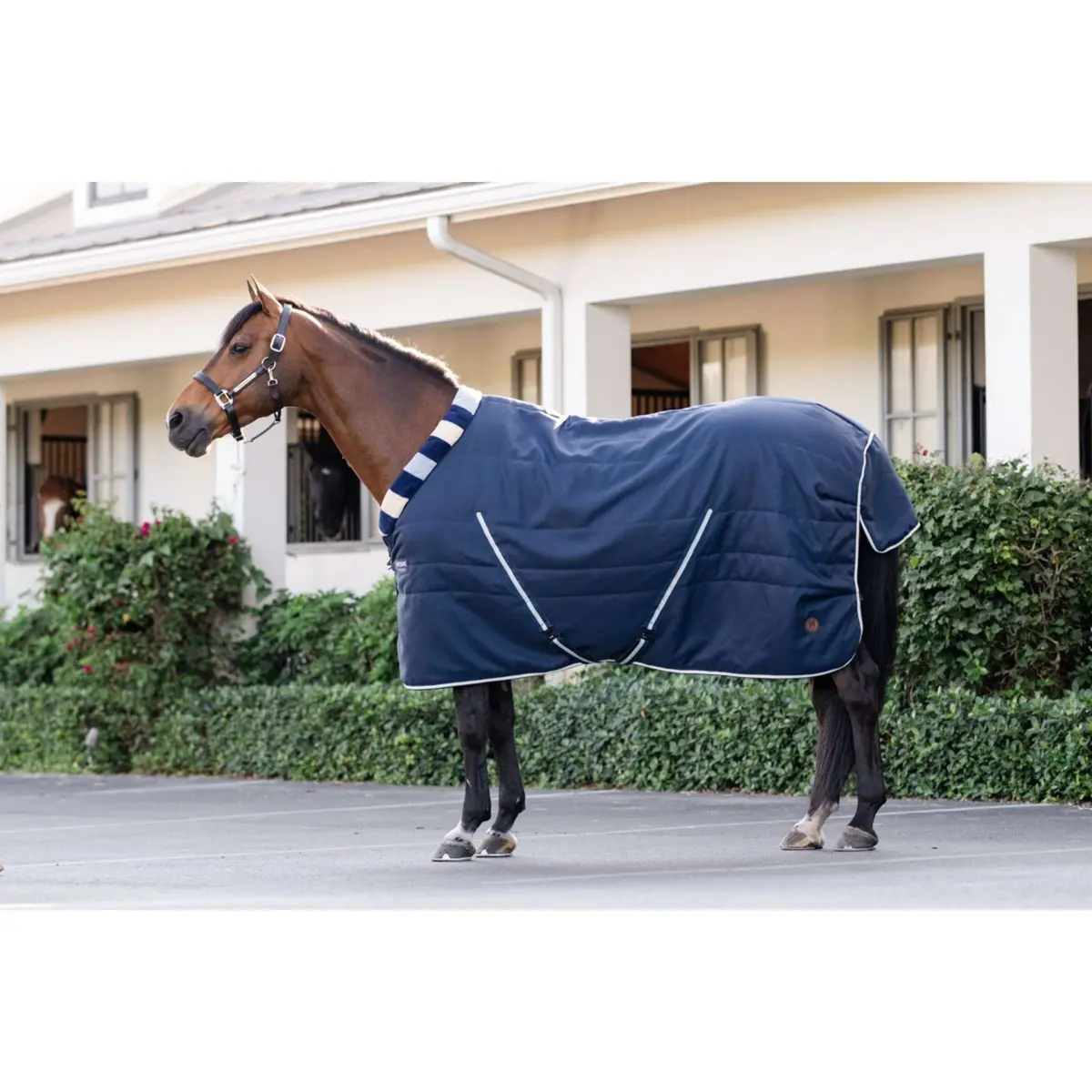 Horseware Cosy Stable Newmarket 200G Witney Navy 1