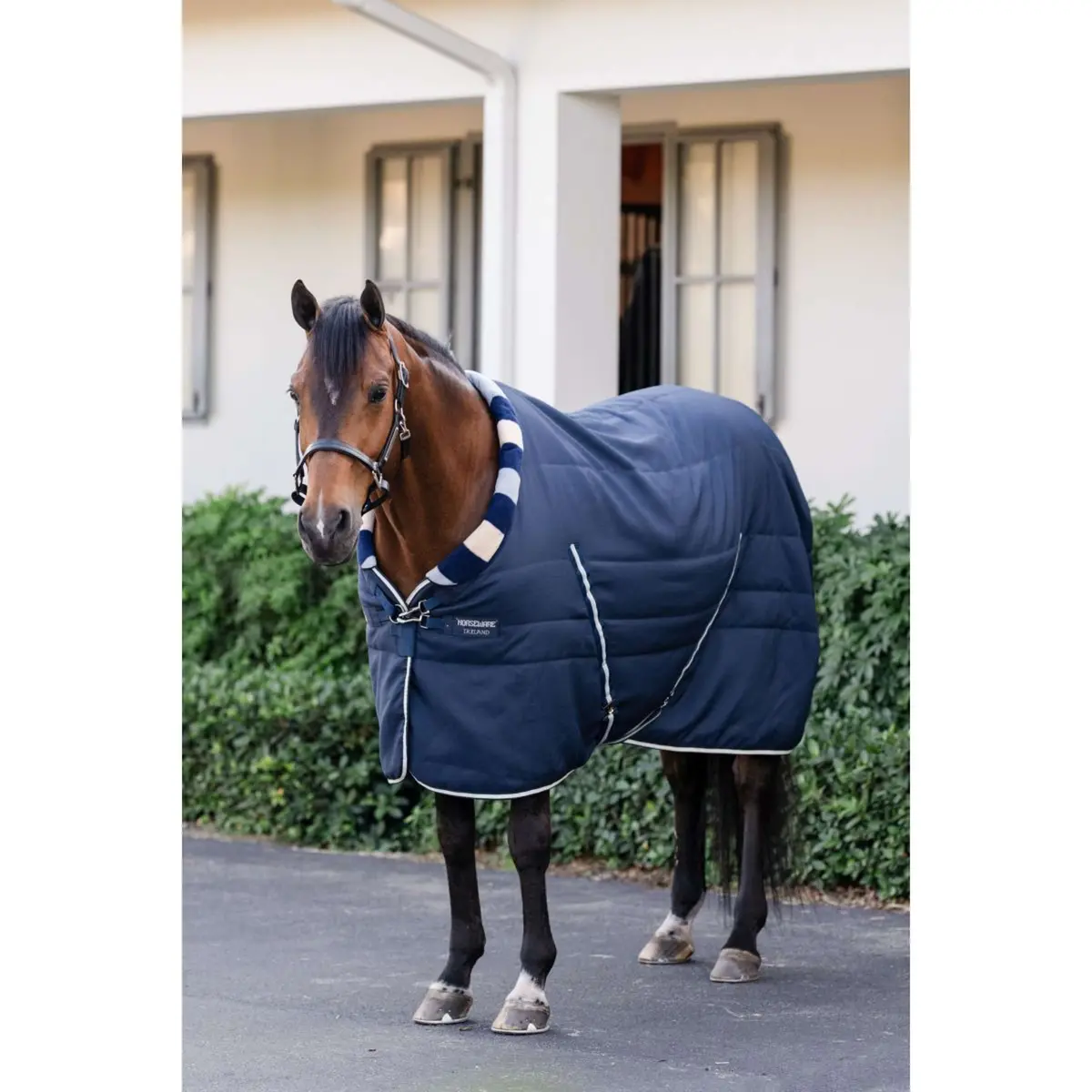 Horseware Cosy Stable Newmarket 100G Witney Navy 3