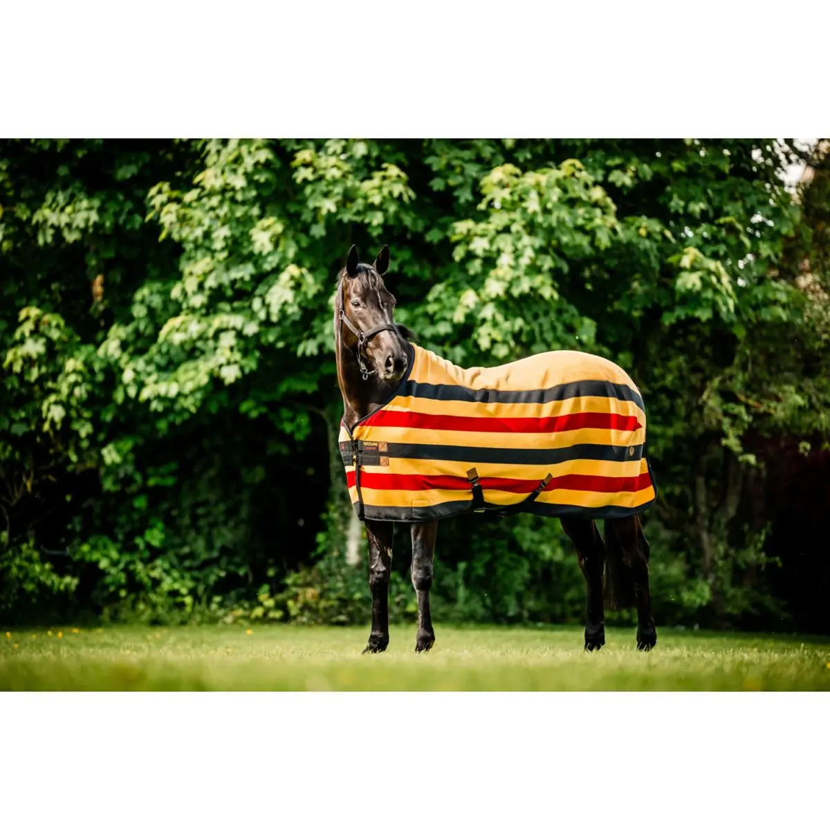 Horseware Fleece Cooler Newmarket Witney Gold 1