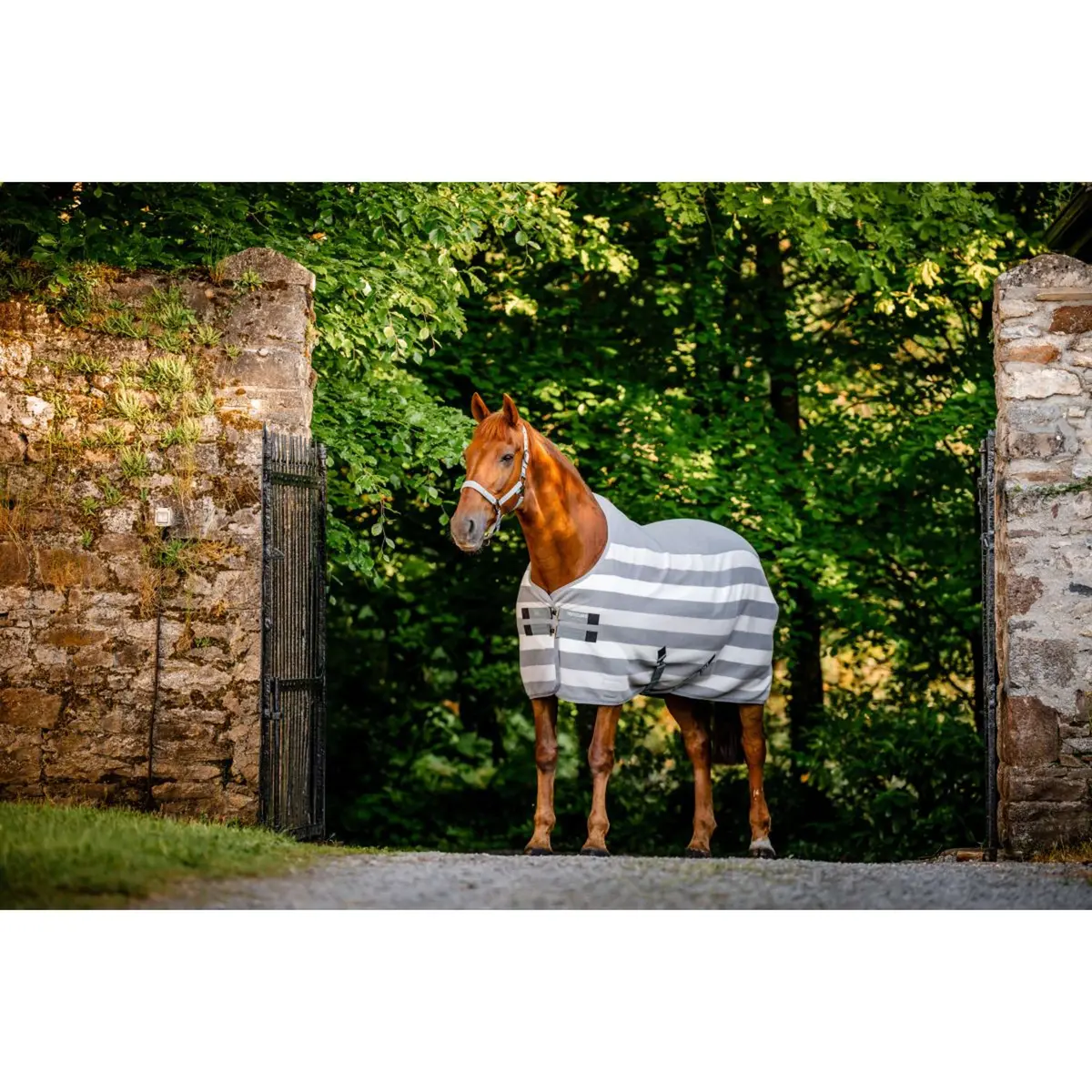 Horseware Fleece Cooler Newmarket Witney Charcoal 1