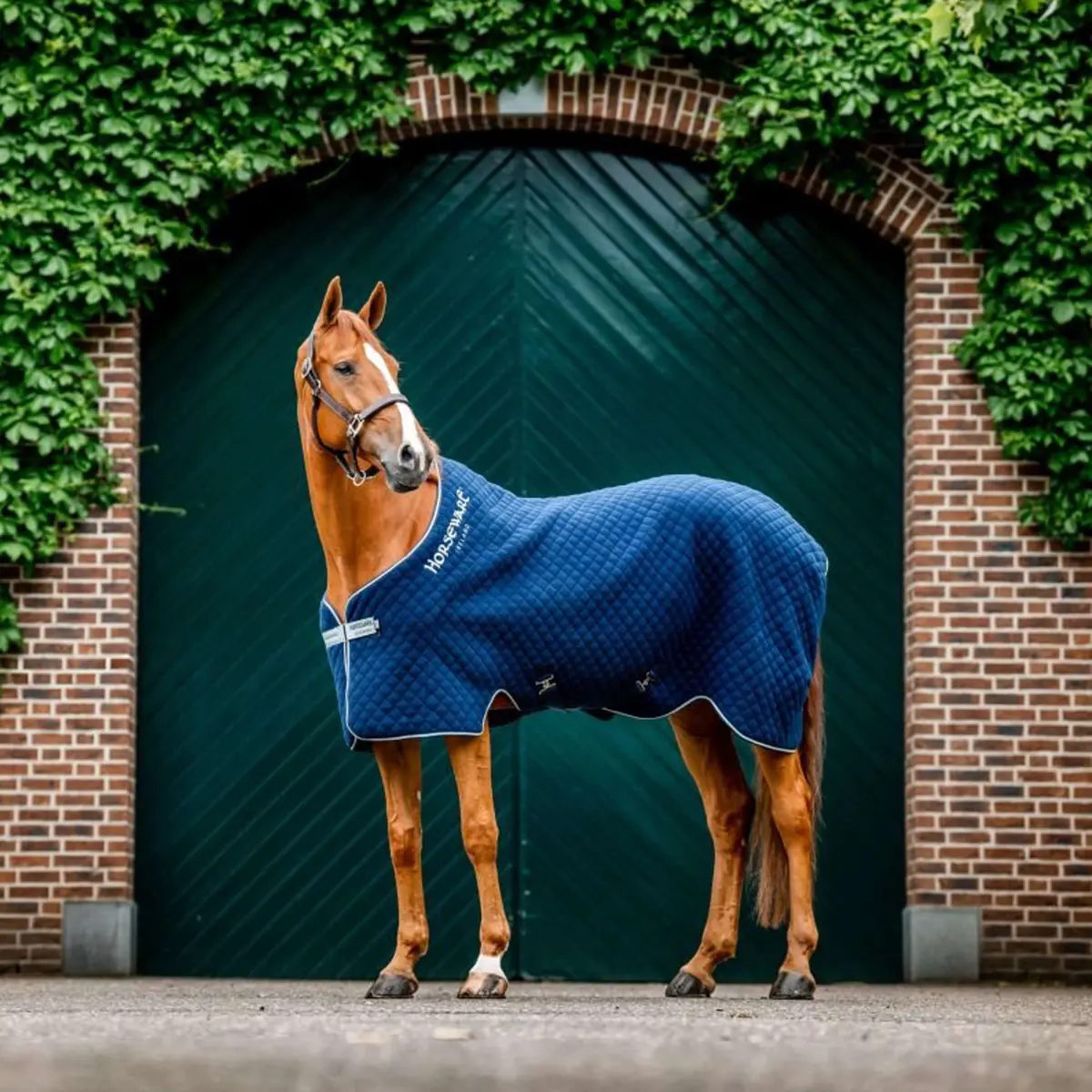 Horseware Cooler Autumn Navy/Zilver 1