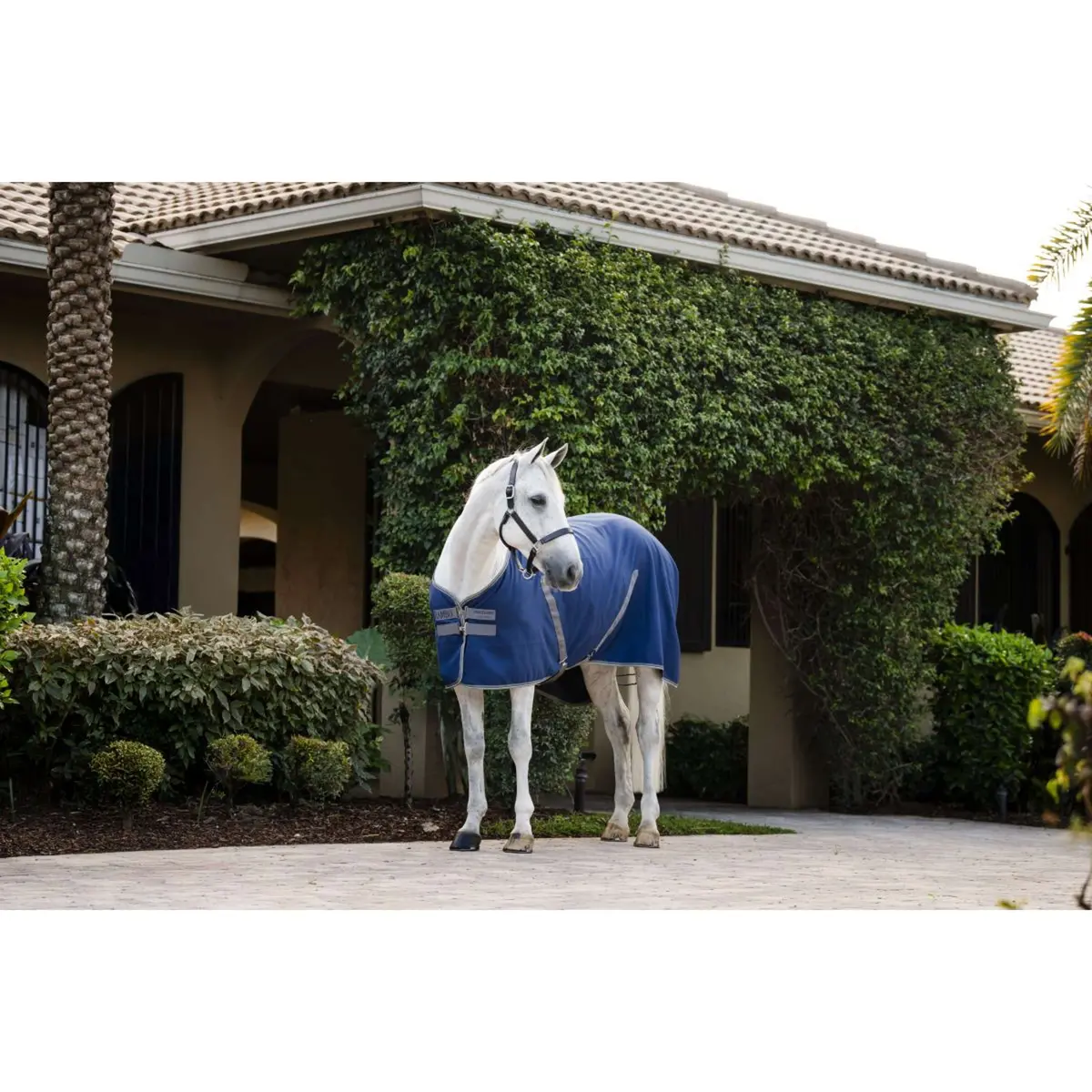 Rambo Stable Sheet Navy/Thunderstorm Grey/Silver 1