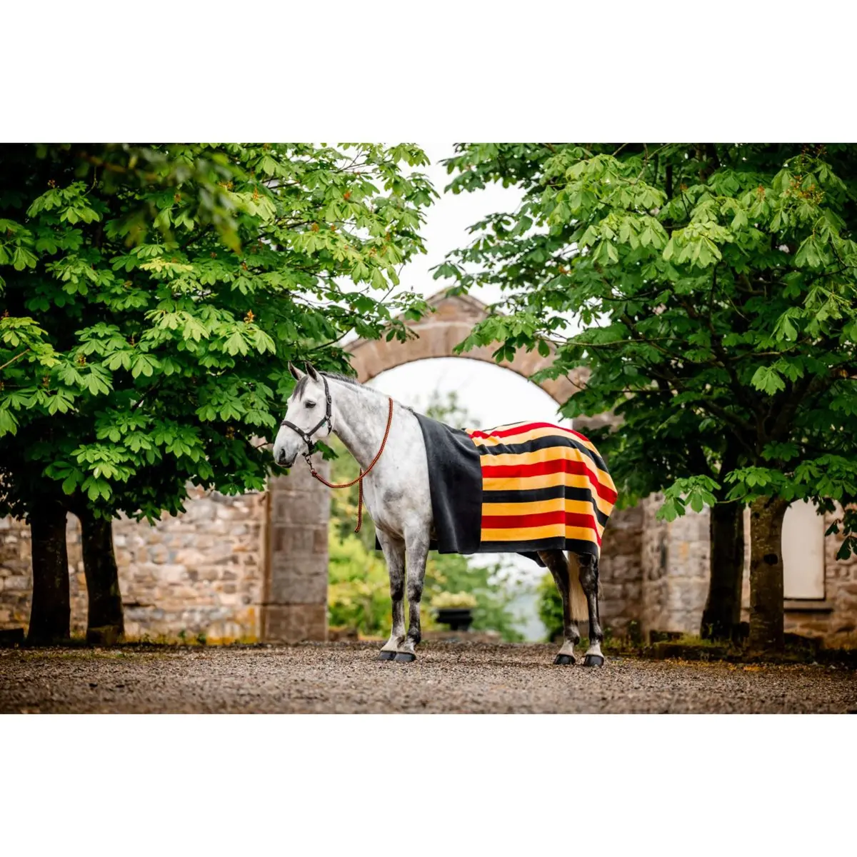 Horseware Fleecedeken Newmarket Witney Gold 1