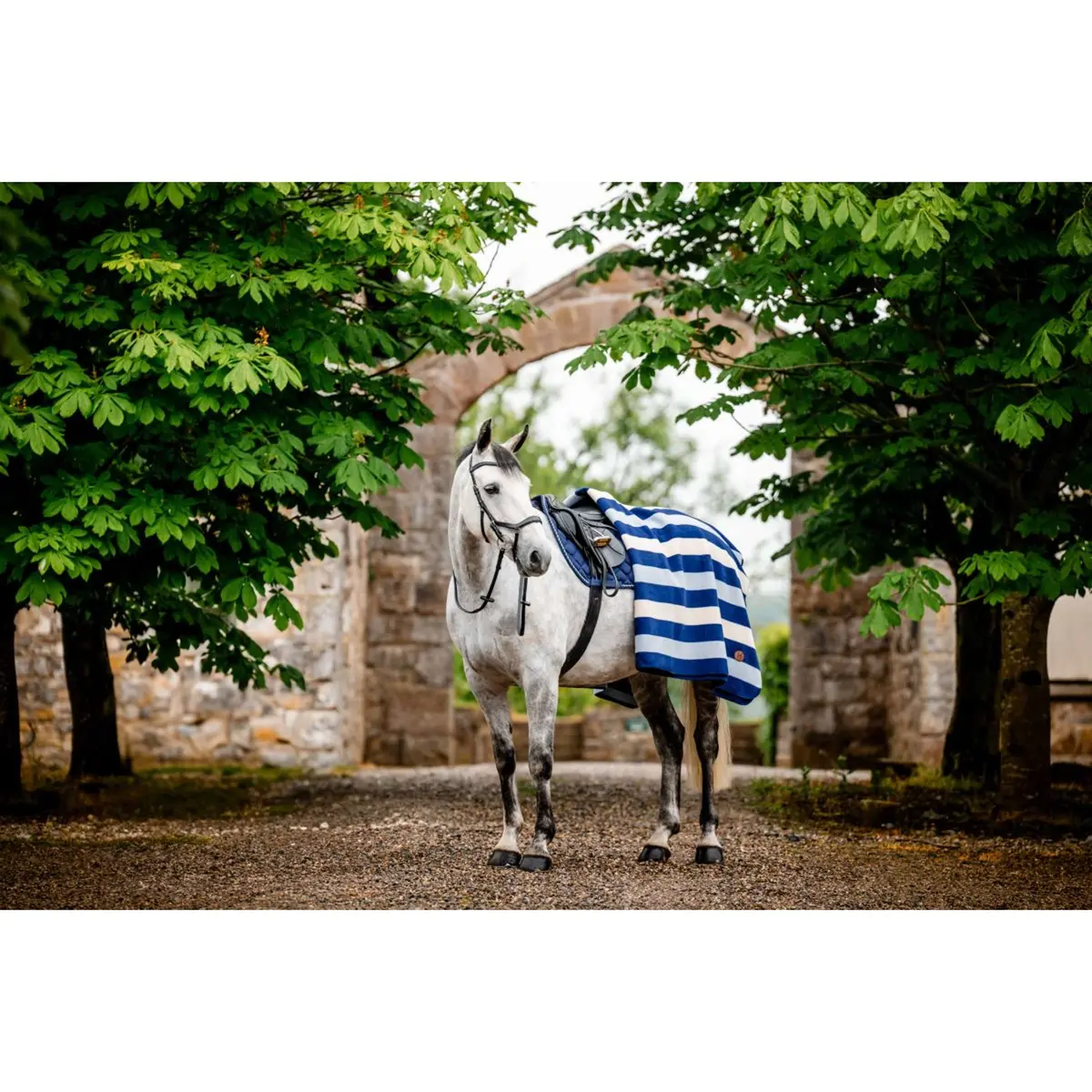 Horseware Fleecedeken Newmarket Witney Navy 1
