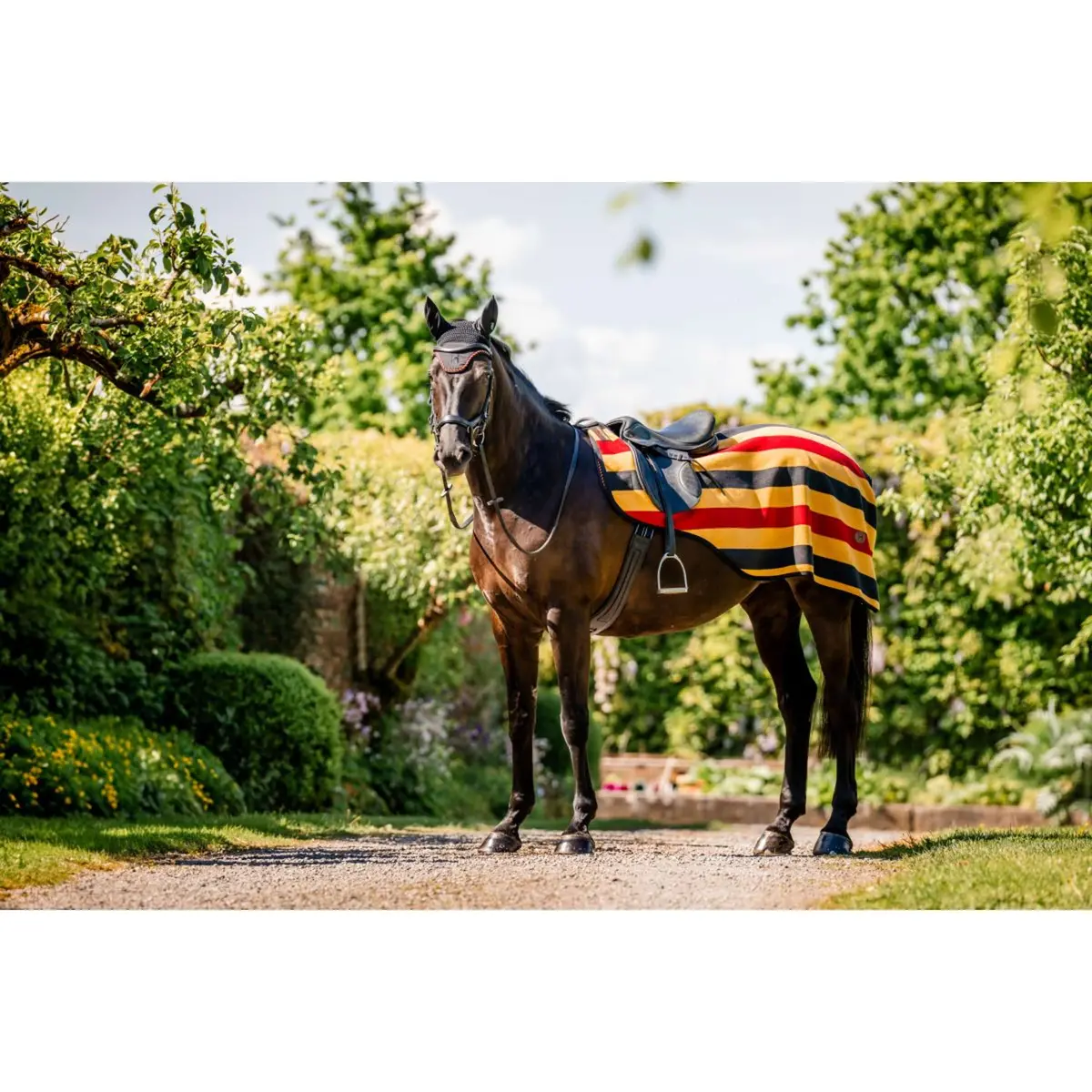 Horseware Uitrijdeken Newmarket Witney Gold 1