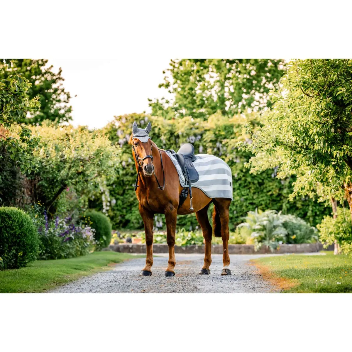 Horseware Uitrijdeken Newmarket Witney Charcoal 1