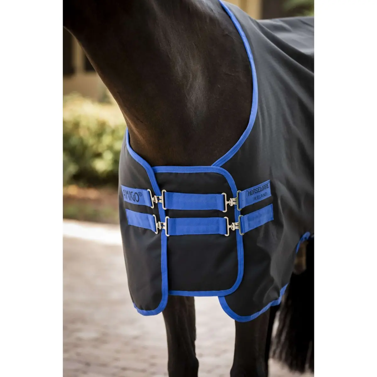 Amigo Borstverbreder Black/Classic Blue 1