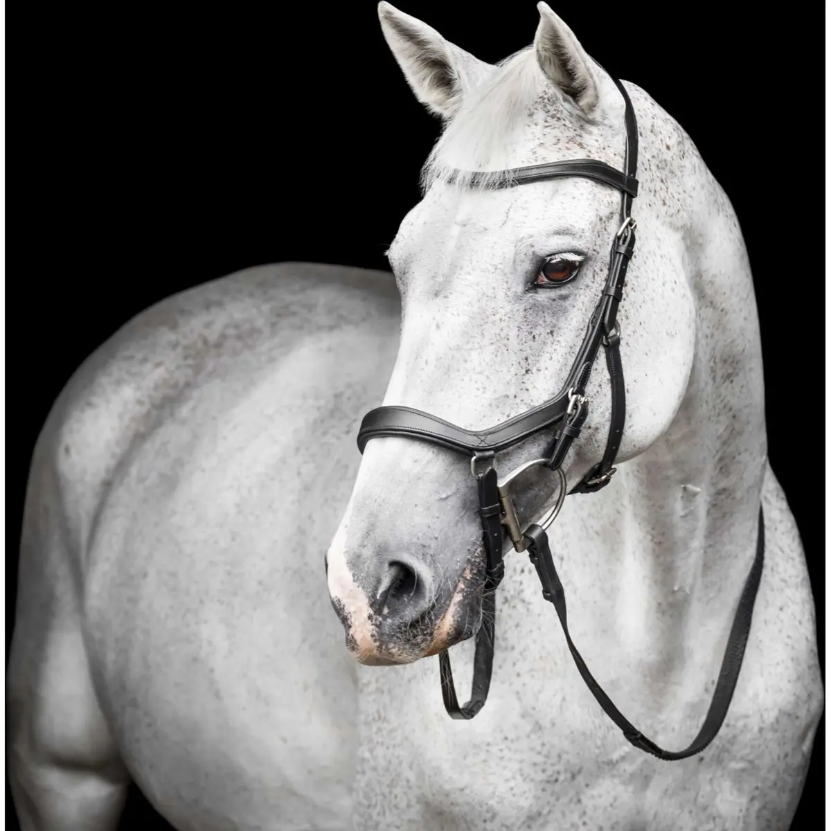 Horseware Micklem Competition Bridle Zwart 1