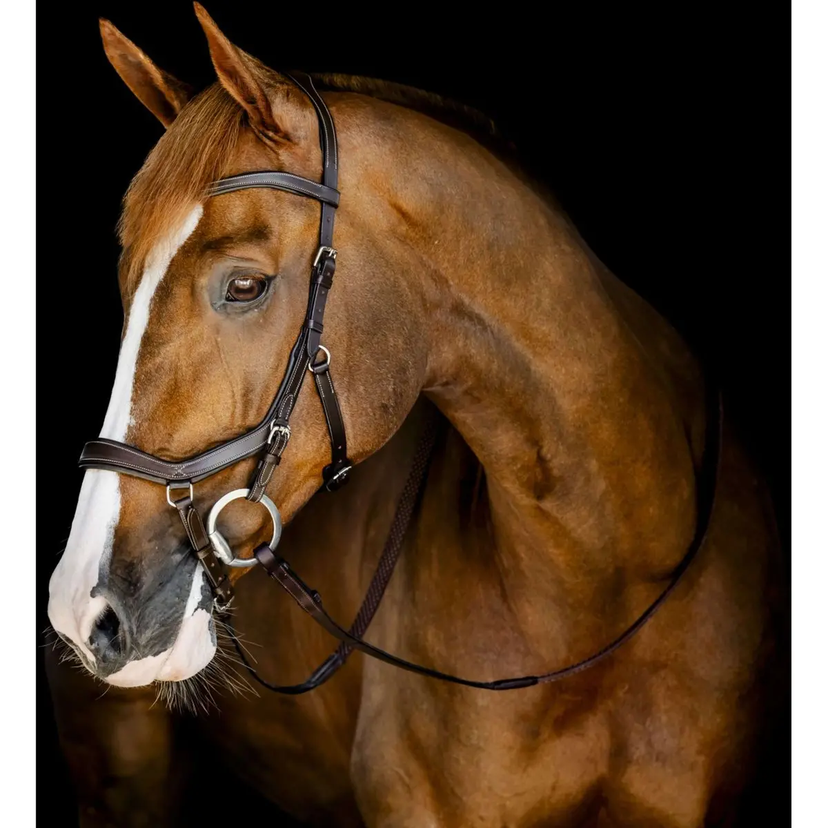 Horseware Micklem Competition Bridle Dark Havana 1