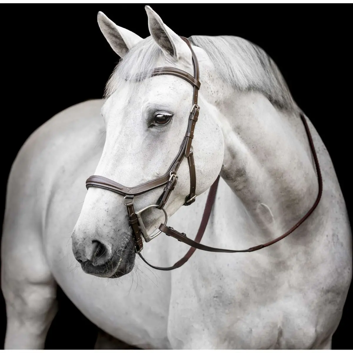 Horseware Micklem Deluxe Competition Bridle Dark Havana 1