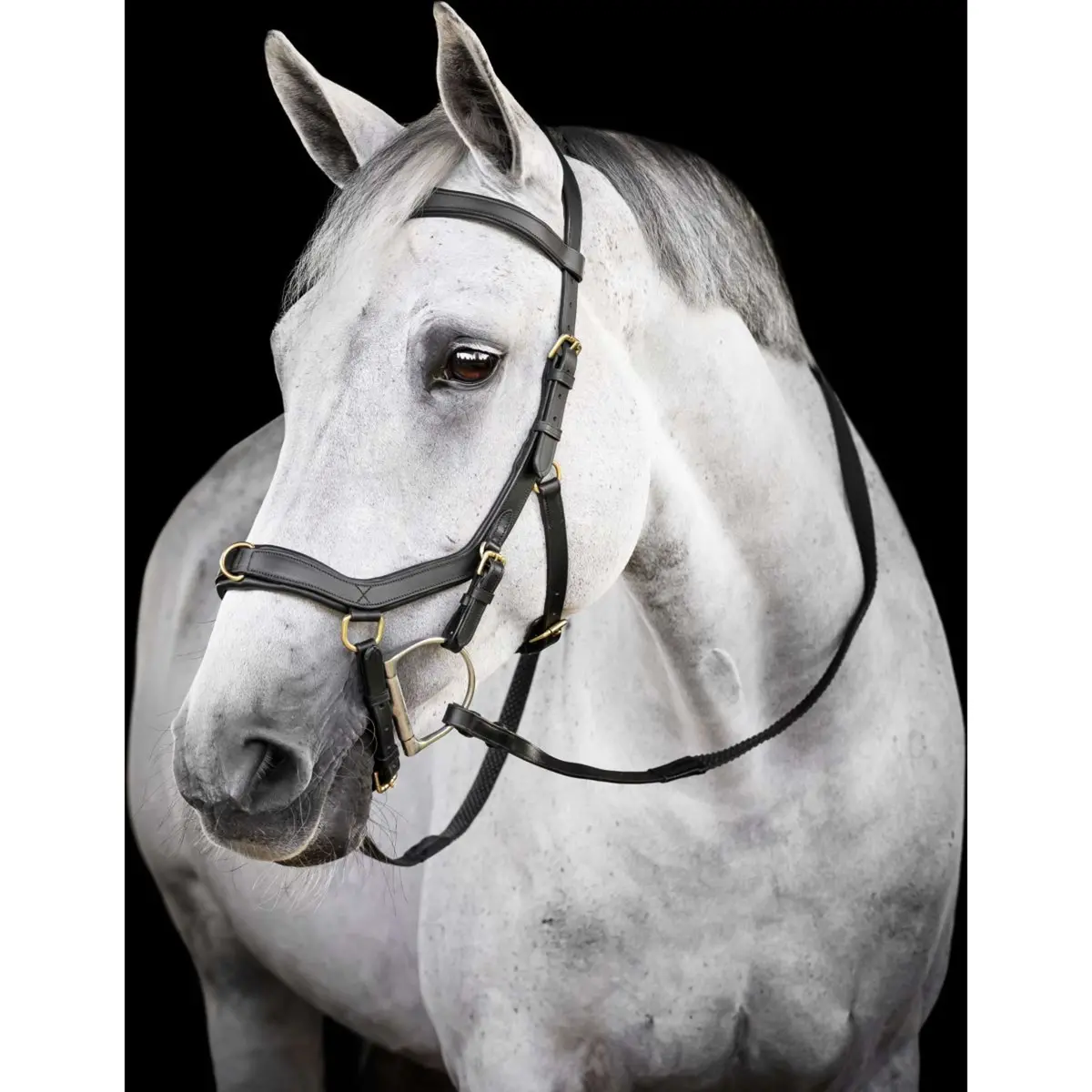 Horseware Micklem Multi Bridle Zwart 1