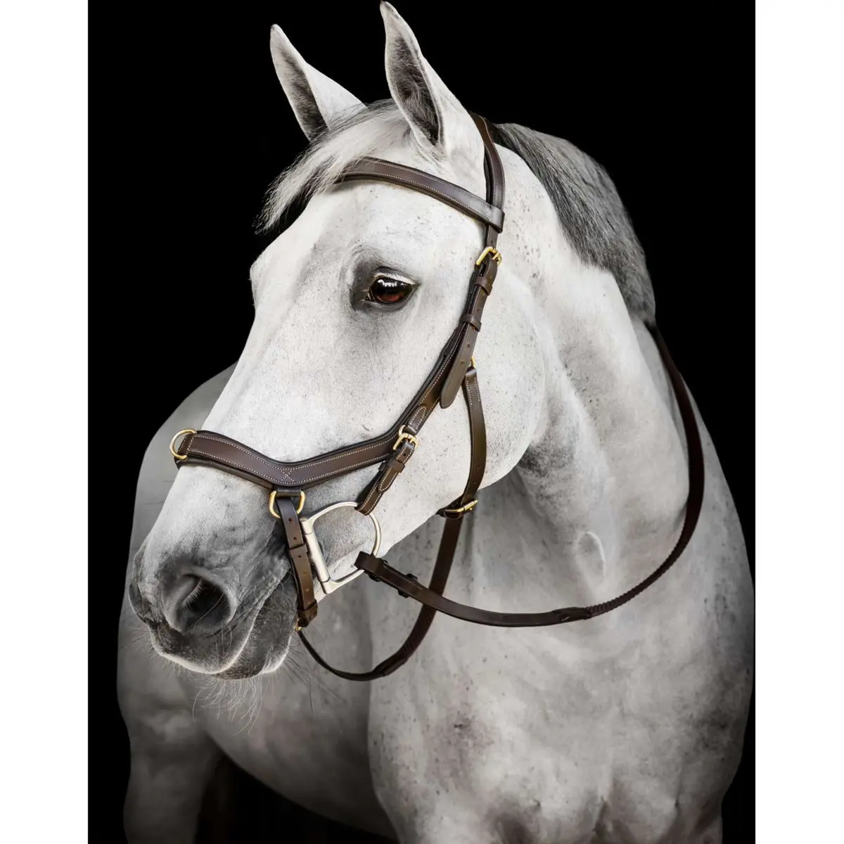 Horseware Micklem Multi Bridle Dark Havana 1