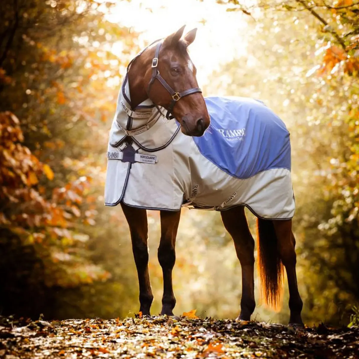 Rambo Autumn Series Turnout Navy/Grijs Dots 1