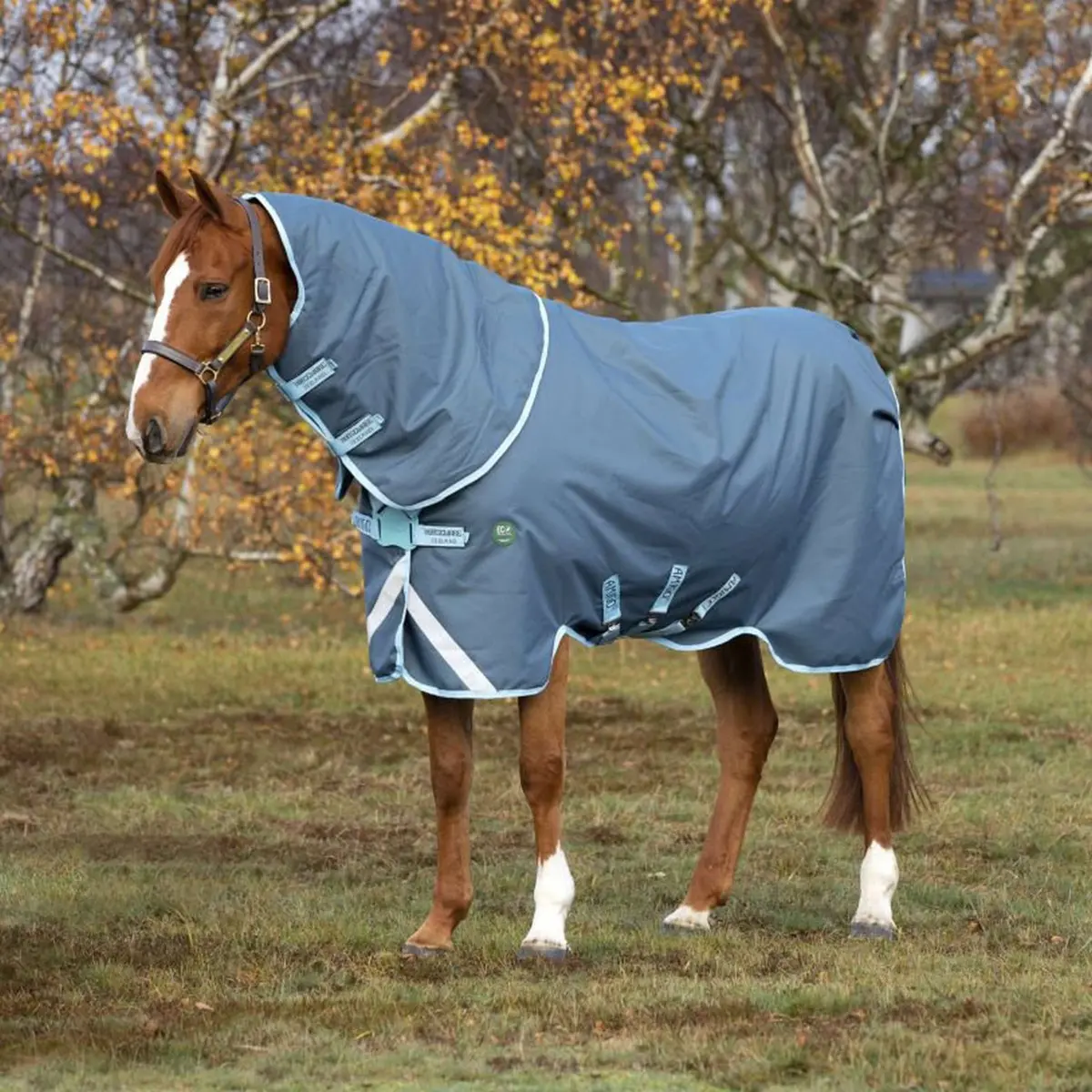 Amigo Turnout Ameco Bravo 12 Plus 250G Dark Blue/Sky Blue 1