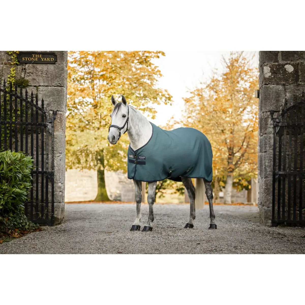 Rambo Waffle Cooler Techni Dynasty Green/Navy/Silver 1
