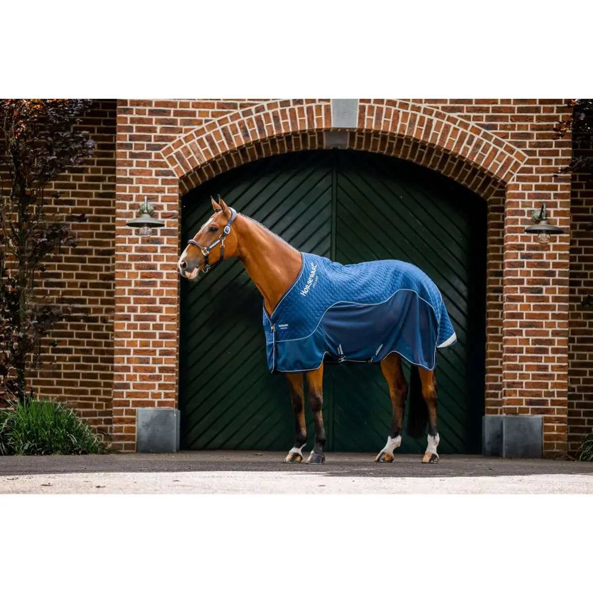 Horseware Travel Cooler Signature Navy 1
