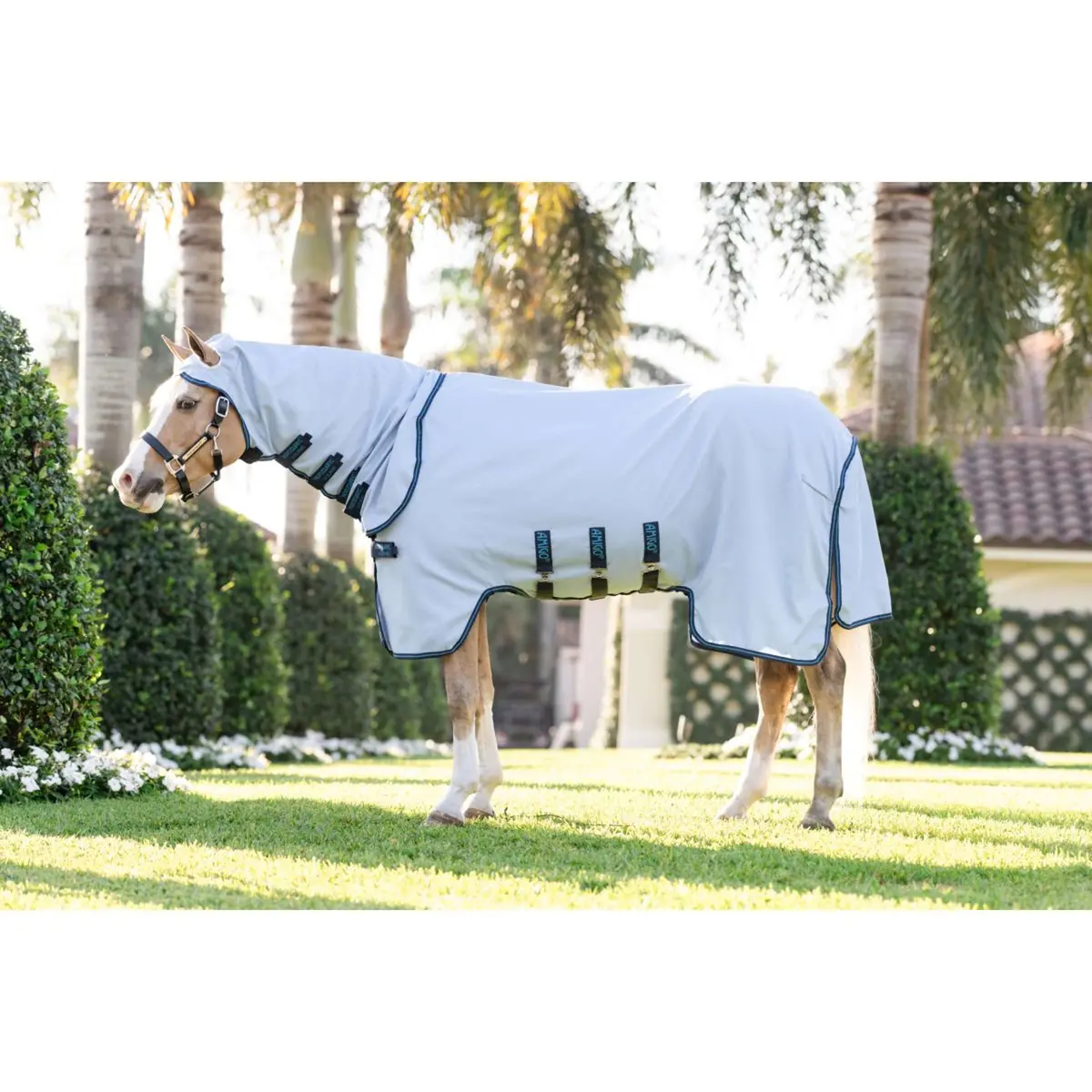Amigo Ripstop Hoody Pony Azure Blue/Navy/Electric Blue 1