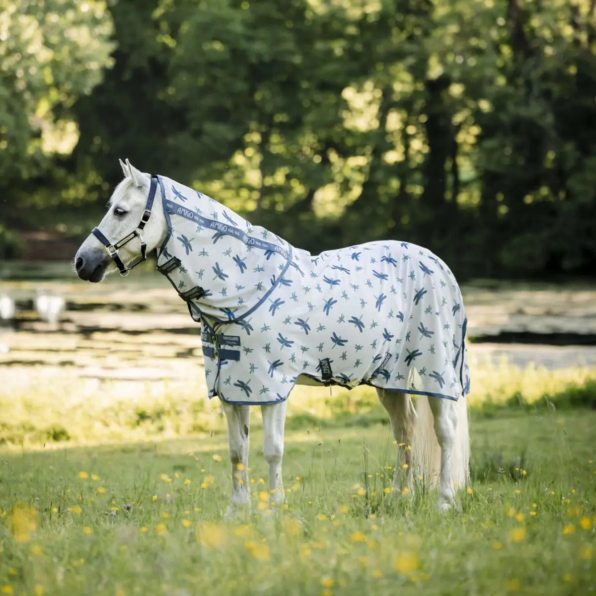 Amigo Bug Rug Plus Pony Dragonfly Print/Silver/Blue/Sage 1